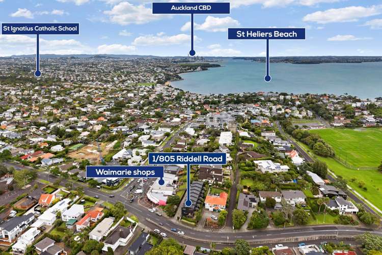 1/805 Riddell Road St Heliers_29