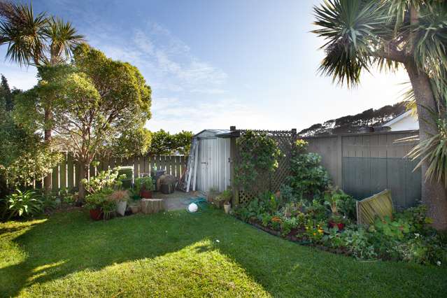  1 Glendavar Street Berhampore_1