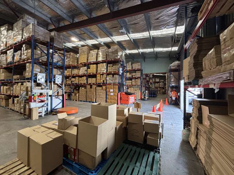 11 Armidale Street Petone_7