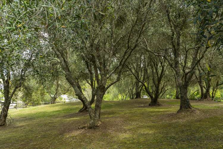 53 Marua Road Hikurangi_33