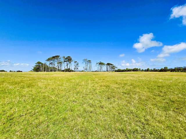 Mount Wesley Coast Road Dargaville_1
