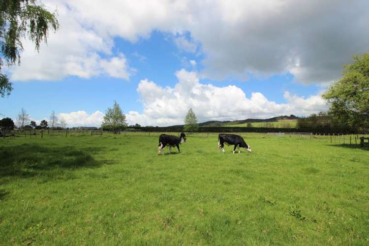 53 Takahiwai Road Ruakaka_10