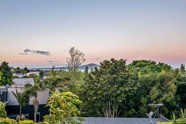 41d Hopkins Crescent Kohimarama_15