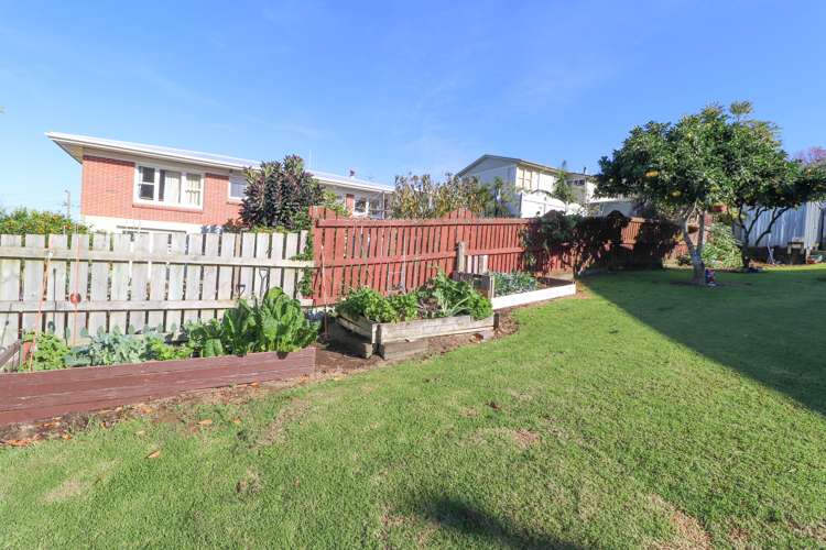 113 Kingsford Place Thames_15