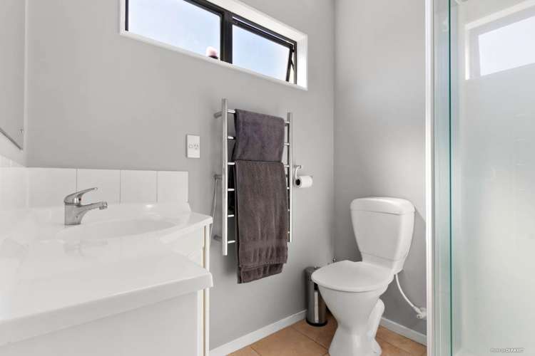 106b Owairaka Avenue Mount Albert_10