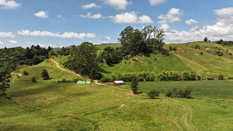 636 Otara Road Opotiki_10