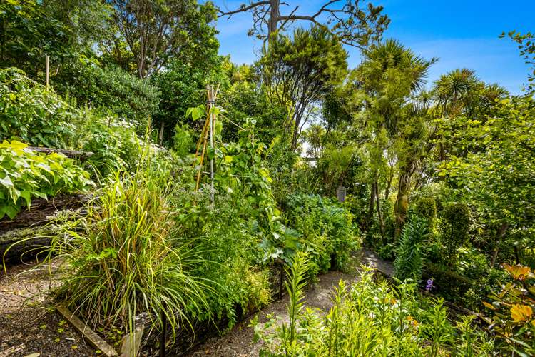66 Piha Road Piha_53