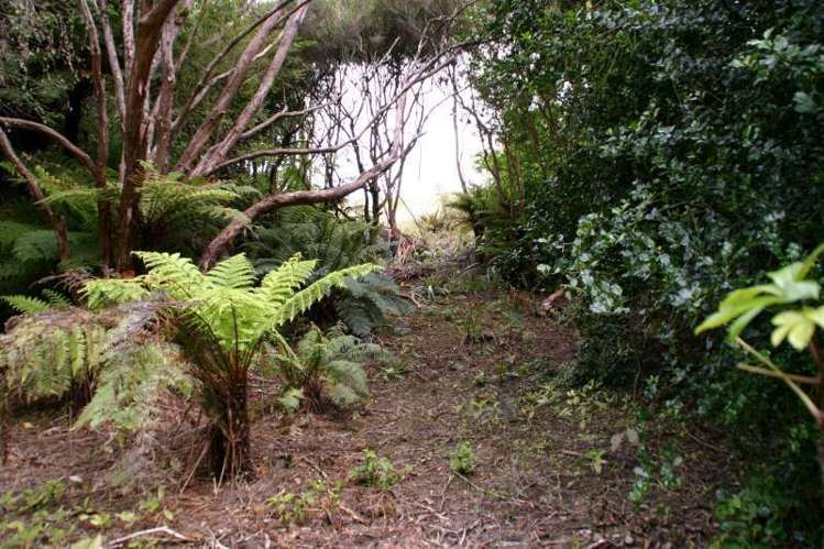 38 Wohlers Road Stewart Island/Rakiura_6