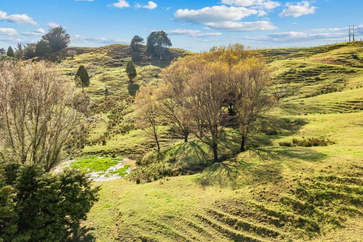 1350 State Highway 12, Rawene Kaikohe Rd3_40