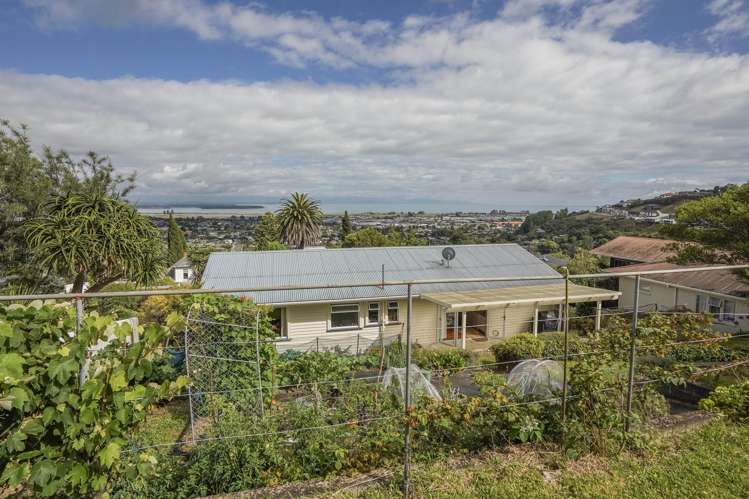 29 View Mount Stoke_18