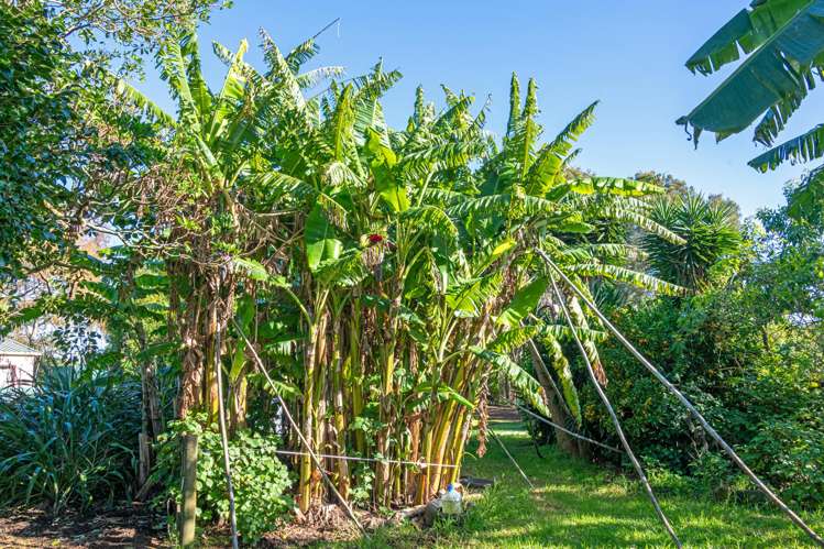 2640 South Head Road South Head_34