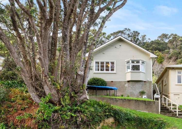 29 Rose Street Wadestown_17