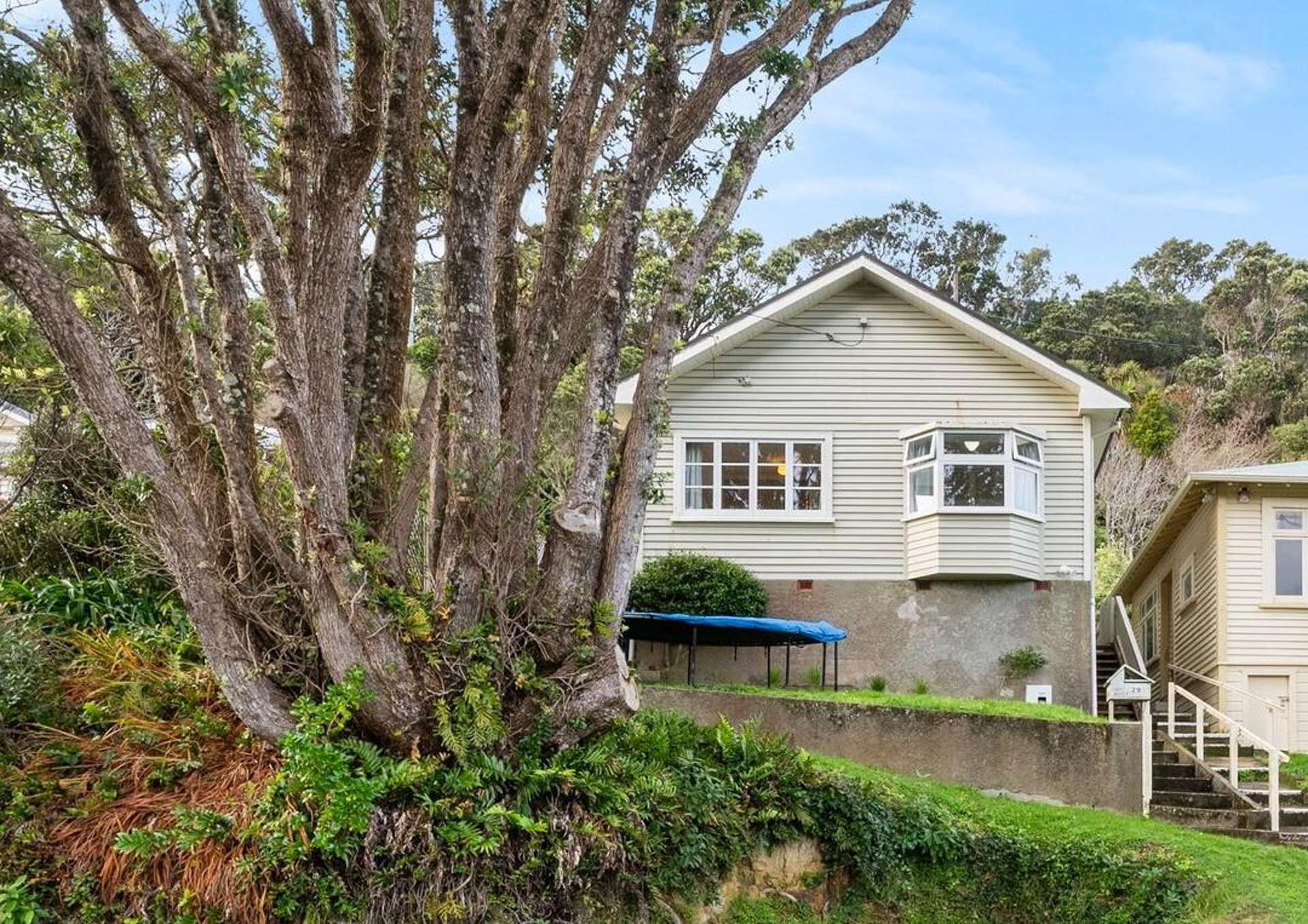 29 Rose Street Wadestown_0