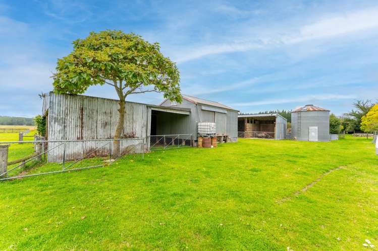 79 Halstead Road Pleasant Point_6