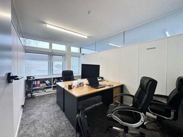 532 Parnell Road Parnell_3