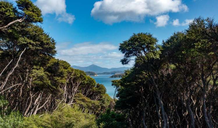 Lot 4 + 5 Te Aroha Bay, Otanerau Bay Marlborough Sounds_12