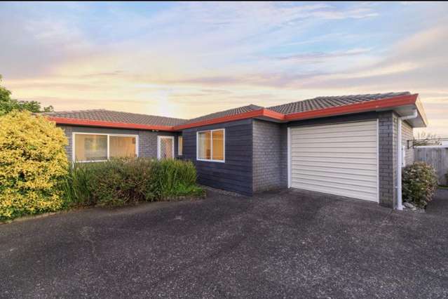 62a Webster Avenue Mount Roskill_1