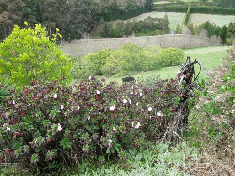 52 Wolseley Road Hauraki Surrounds_35