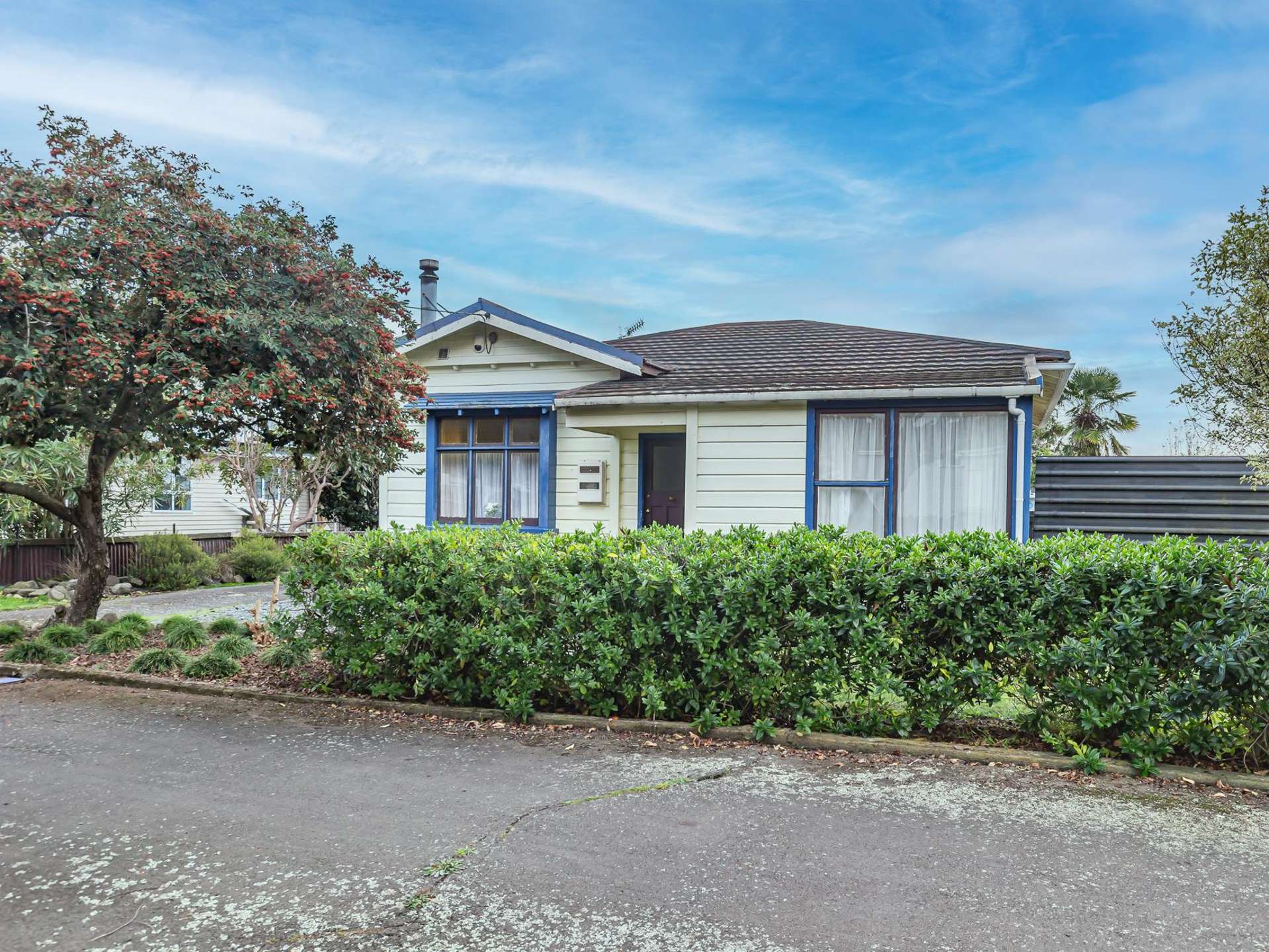 157 Cambridge Street Levin_0