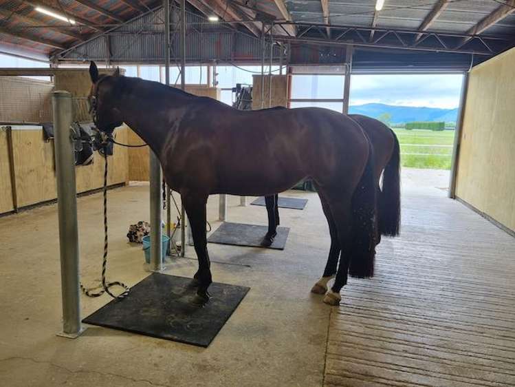 475 Ellesmere Road Lincoln_8