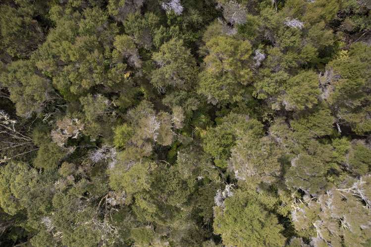 958a State Highway 10 Kaeo_12