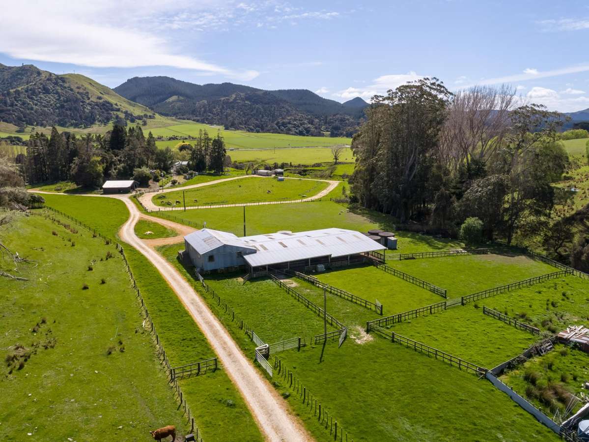 2122 Masterton Castlepoint Road_4