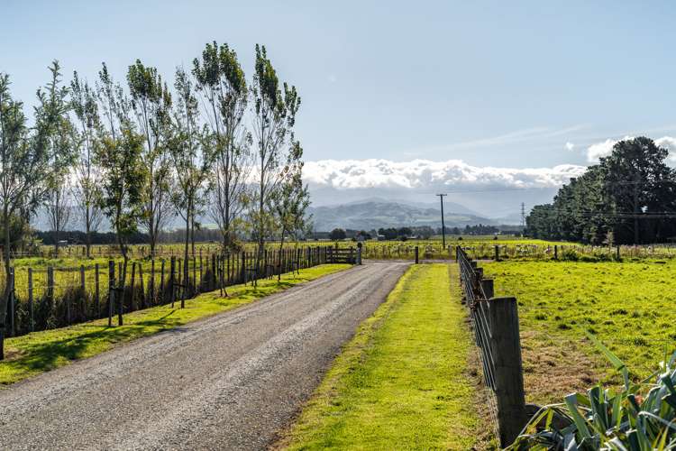 524 Perrys Road Carterton_19