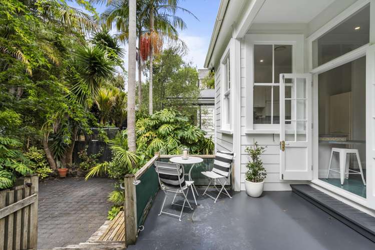 17 Alexander Street Kingsland_12