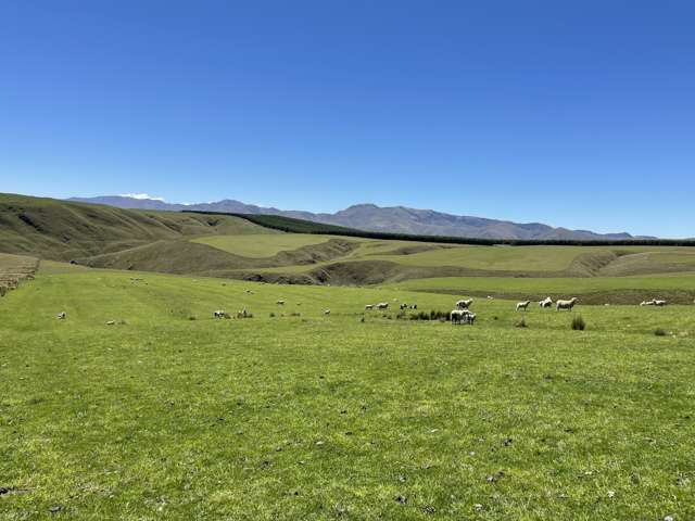 LEASE 540 Four Mile Road and 482 Longdale Road Hyde_2