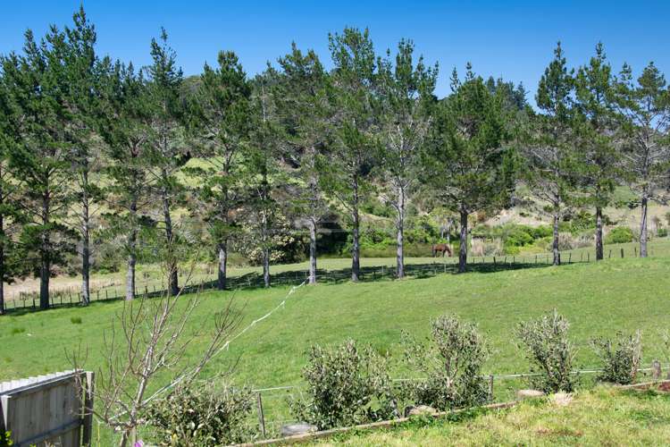 19 Rauta Way Helensville_27