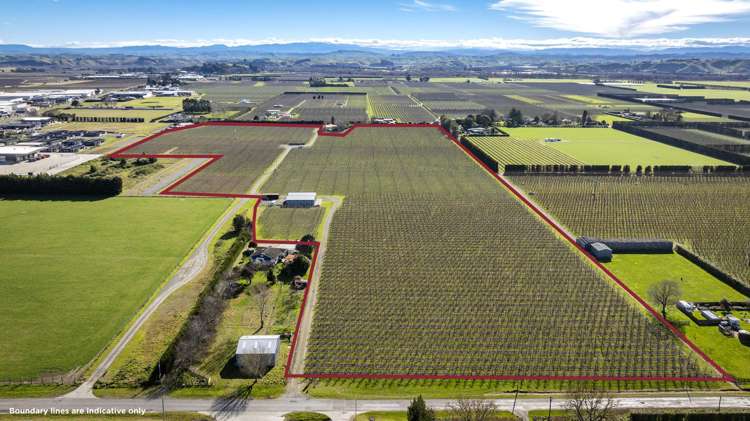 Kiwi Crunch Orchard Portfolio Twyford_16