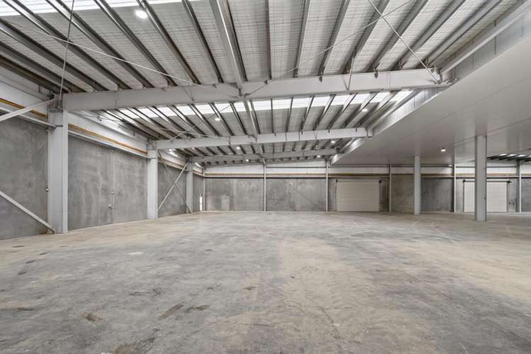 35A Kennaway Road Hillsborough_11