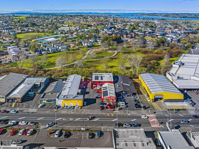 160 Apirana Avenue Glen Innes_2