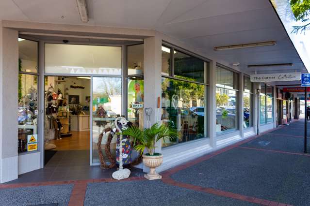 54 Clive Square East Napier South_2