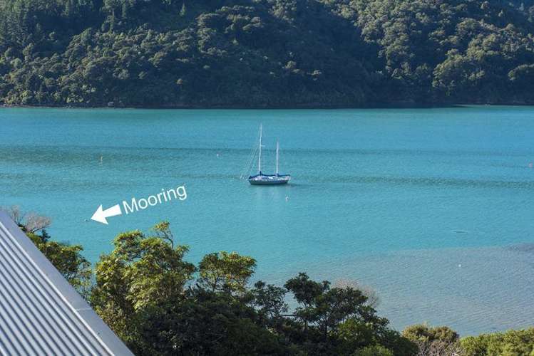 490 Port Underwood Road Whatamango Bay_15