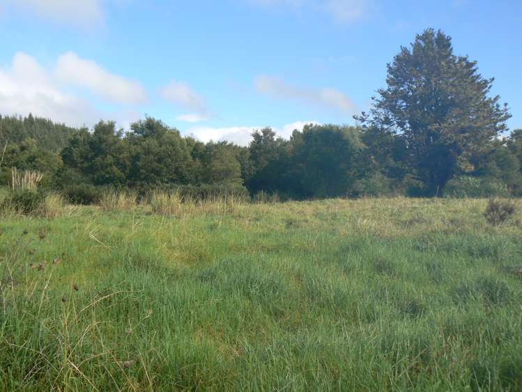 6084 Mangakahia Road Tautoro Far North Rural Property For Sale