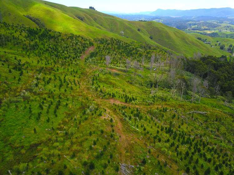 Lot 0 Te Rore Road Kaitaia_5