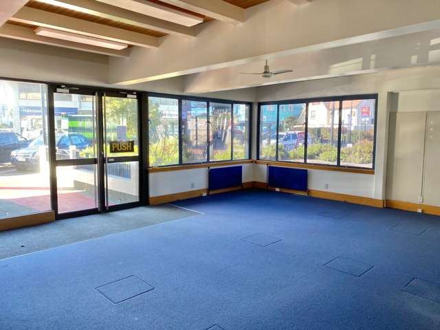 180 Dalton Street Napier South_2