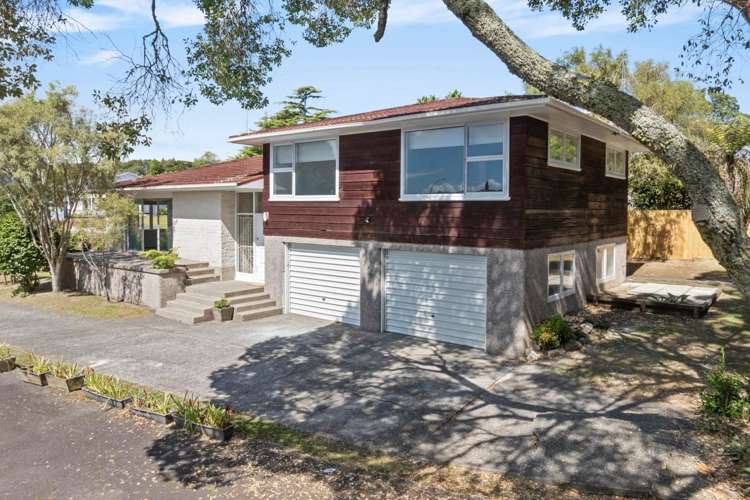 87 David Avenue Hillpark_3