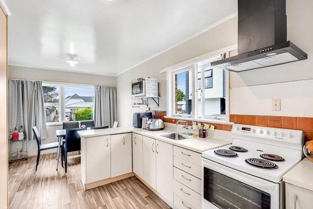 20 Hogan Street Hamilton East_2