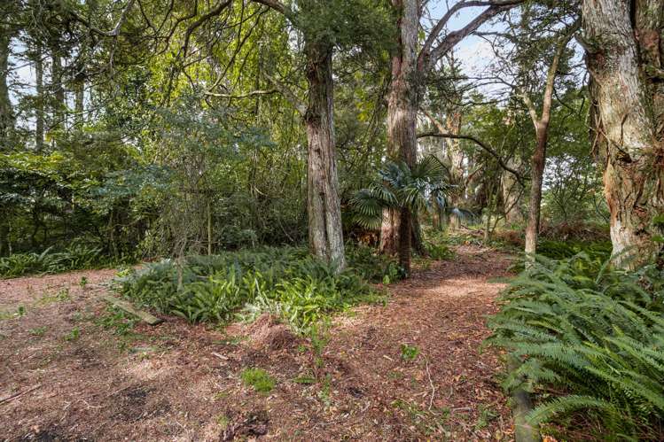 2130 Gordonton Road Taupiri_22