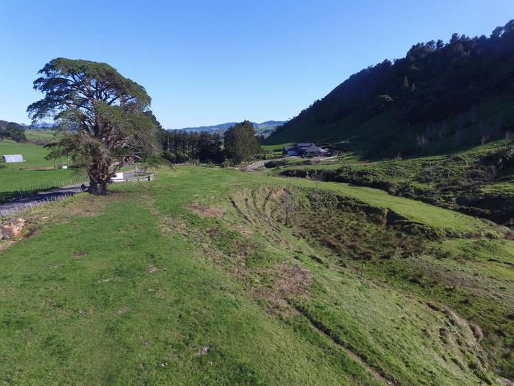 263a Ngatitangata Road Waihi_11