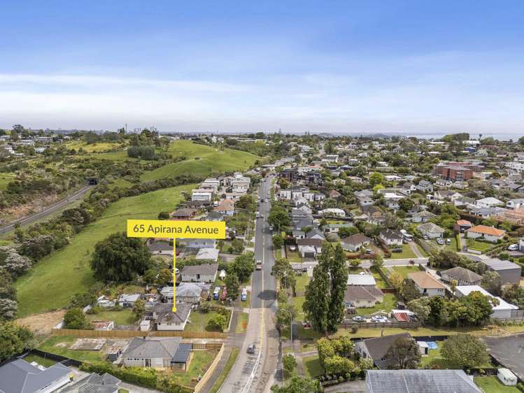 65 Apirana Ave Glen Innes_9