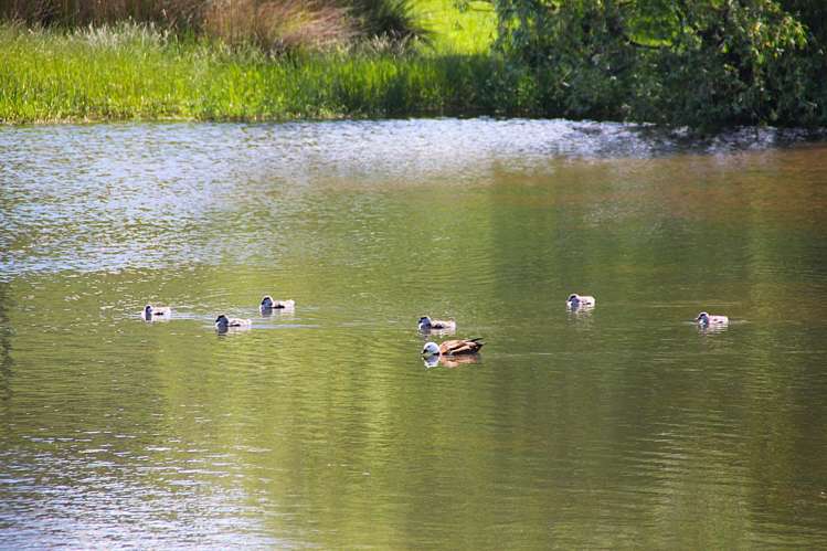 722 Kakapo Road Te Anau_22