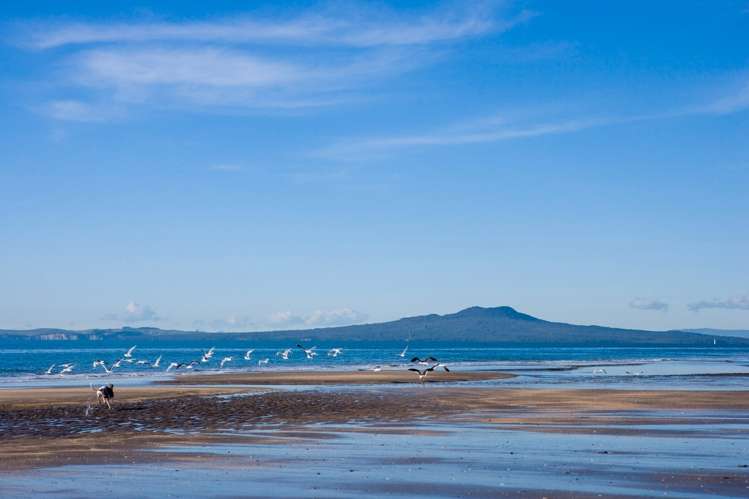 8 Hastings Road Mairangi Bay_15