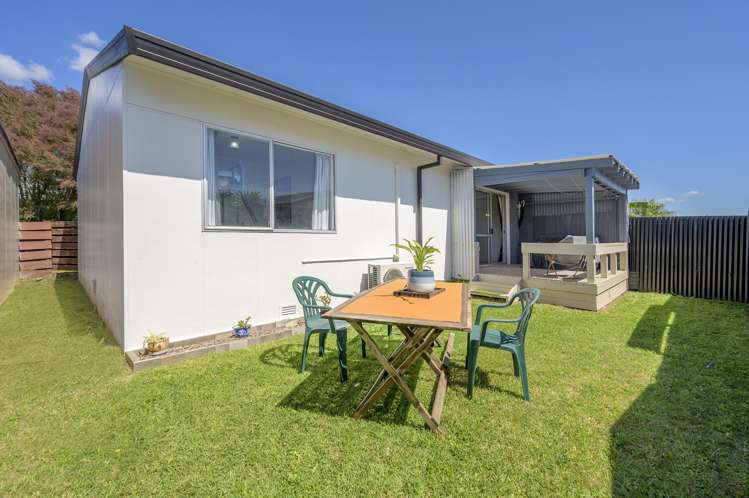 411A Ngatai Road Bellevue_9