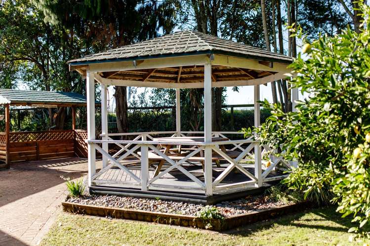 87 College Road Edgecumbe_4