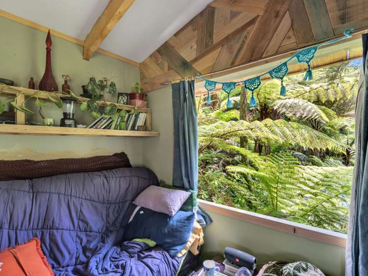 Ohiwa Loop Road Waiotahi_15