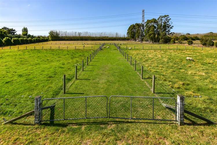 471 Springs Road Prebbleton_37