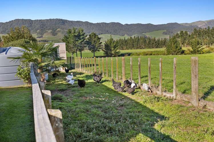 974 Old Te Aroha Road Okauia_20